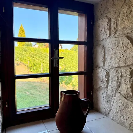 Wohnen Am Weinberg Vormals Weingut Kofler Appartamento